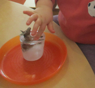 Experimentieren mit Eis 