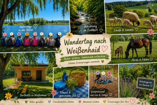 Weißenhaid