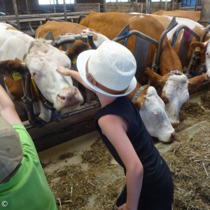 Besuch auf dem Bauernhof